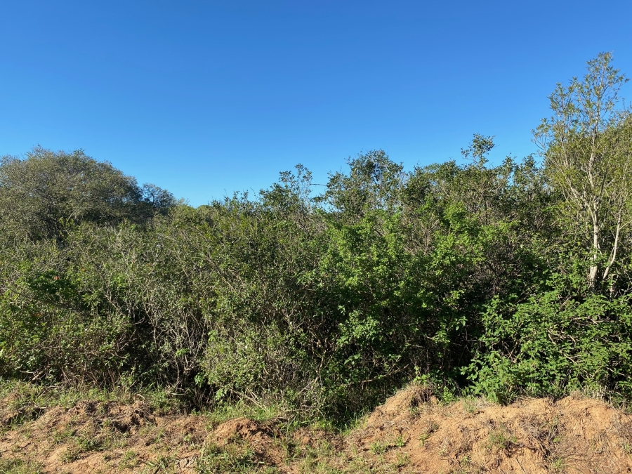 0 Bedroom Property for Sale in Bathurst Eastern Cape